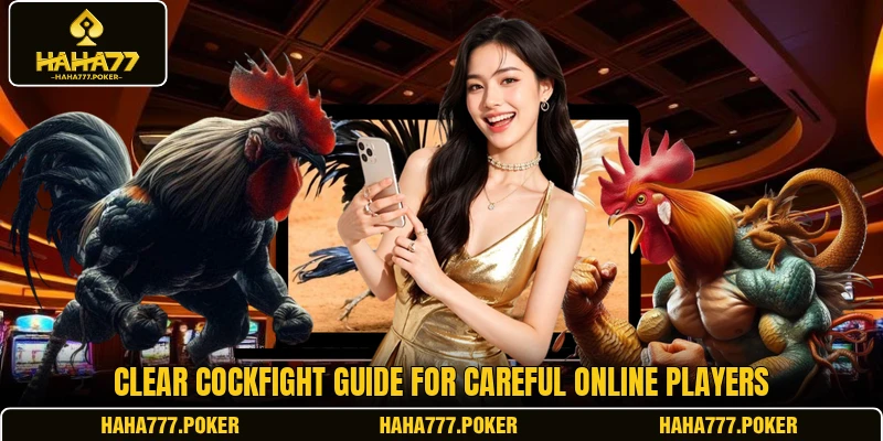 Clear cockfight guide for careful online players