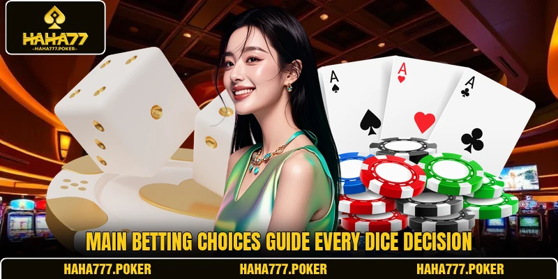 Main betting choices guide every dice decision
