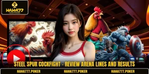 Steel Spur Cockfight - Review Arena Lines And Results