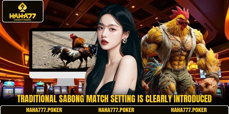 Traditional Sabong match setting is clearly introduced